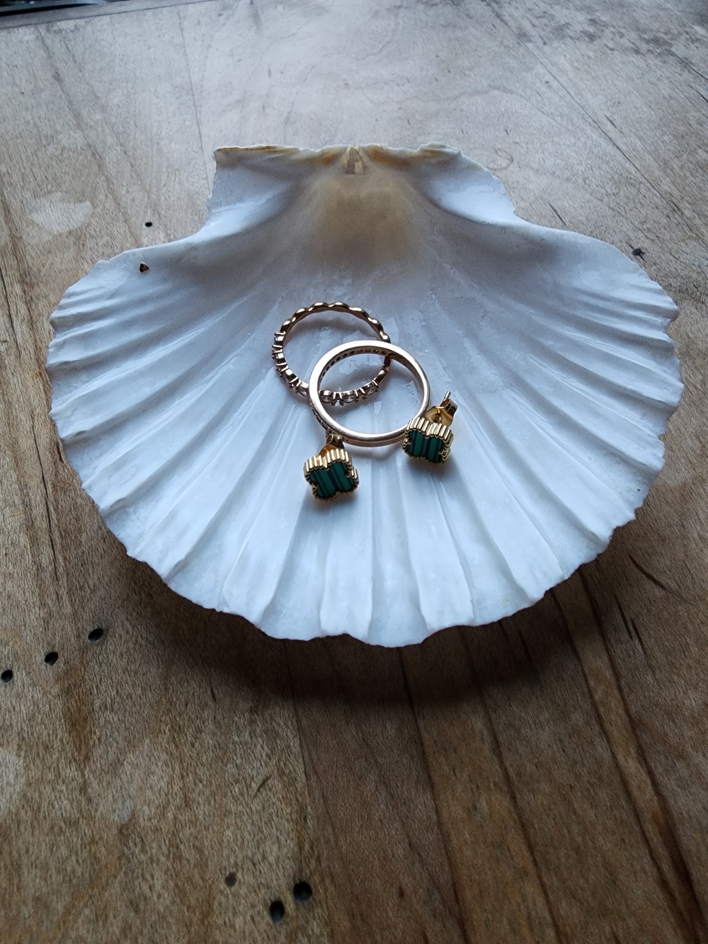 Beautiful Real Sea Shell Jewelry Holder